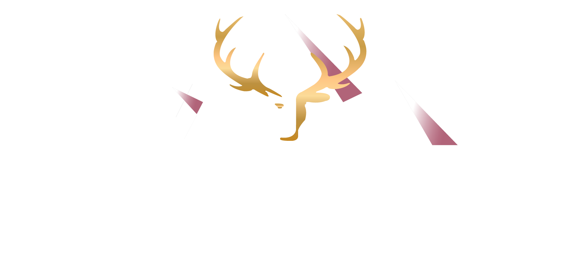 zum Biwak 2.0 Fieberbrunn